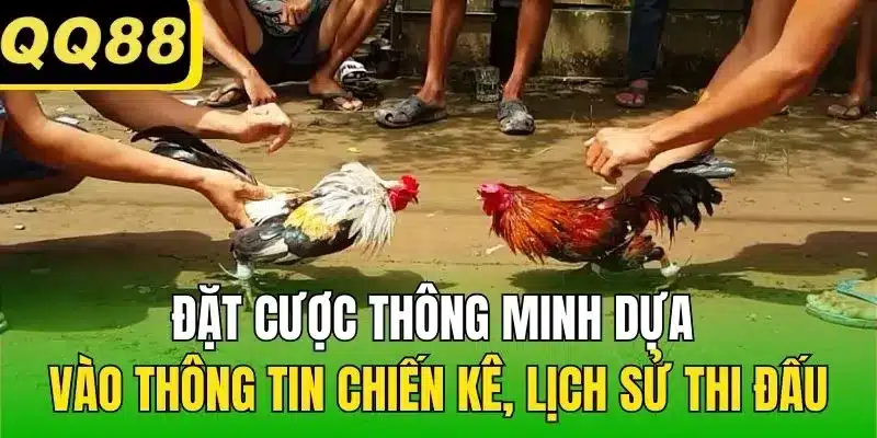 Đặt cược thông minh dựa vào thông tin chiến kê, lịch sử thi đấu