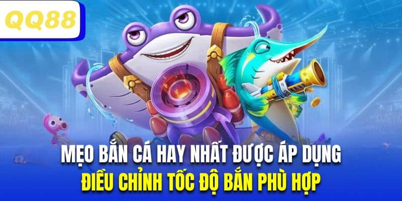 Hội viên nên điều chỉnh đạn phù hợp trước khi xả đạn