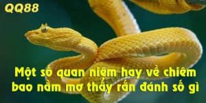 nằm mơ rắn đánh con gì