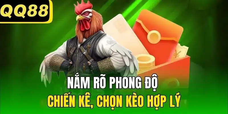 Nắm rõ phong độ chiến kê, chọn kèo hợp lý