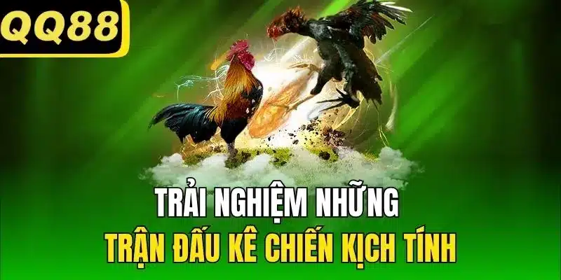 Trải nghiệm những trận đấu kê chiến kịch tính